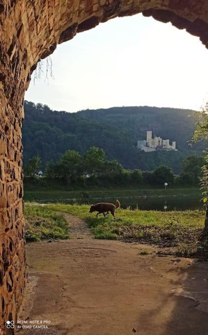 Ferienwohnung Lahnmuendung Mit Kostenlosem Parkplatz Lahnstein Esterno foto